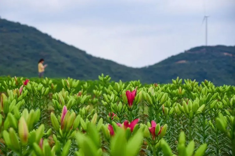 中秋国庆将至！半汤温泉养生度假区旅游攻略奉上